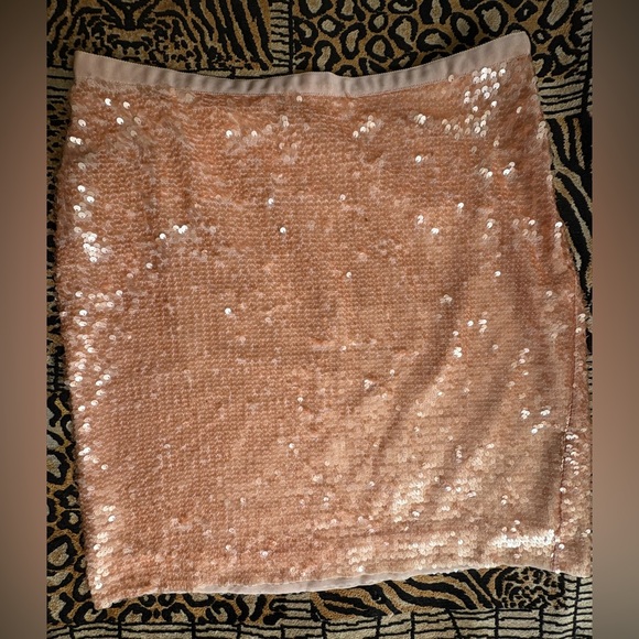 Ann Taylor Loft Sequin Skirt Iridescent Peach (6) - Picture 2 of 7